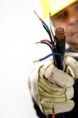/album/electricista-647-785-208/electricista-madrid-7-jpg/